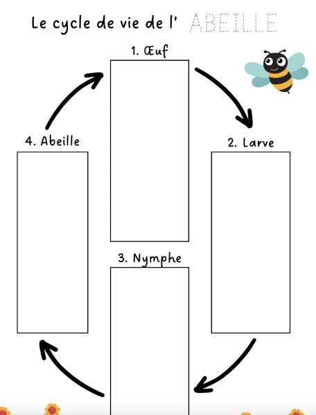 L'abeille
