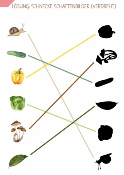Le jardin et l'escargot
