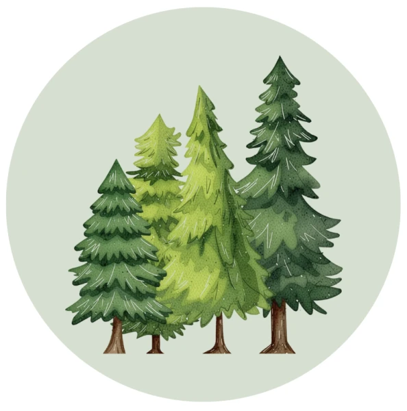 Thème forêt