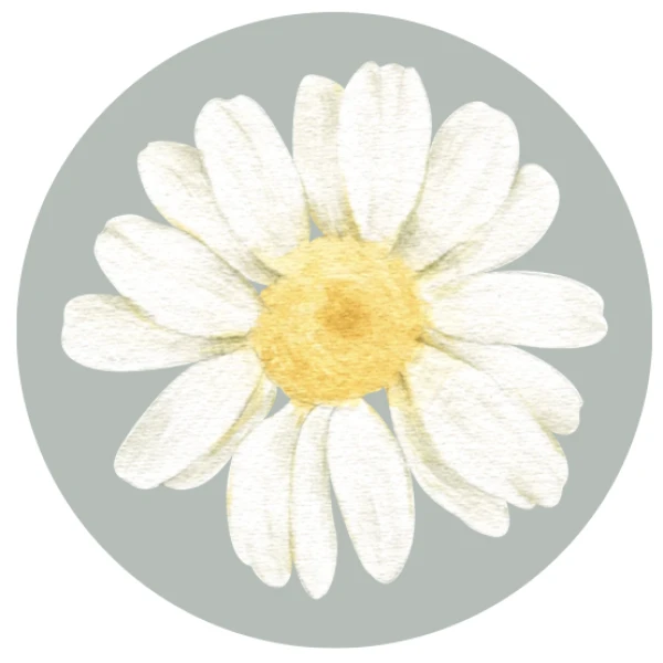Thème nature