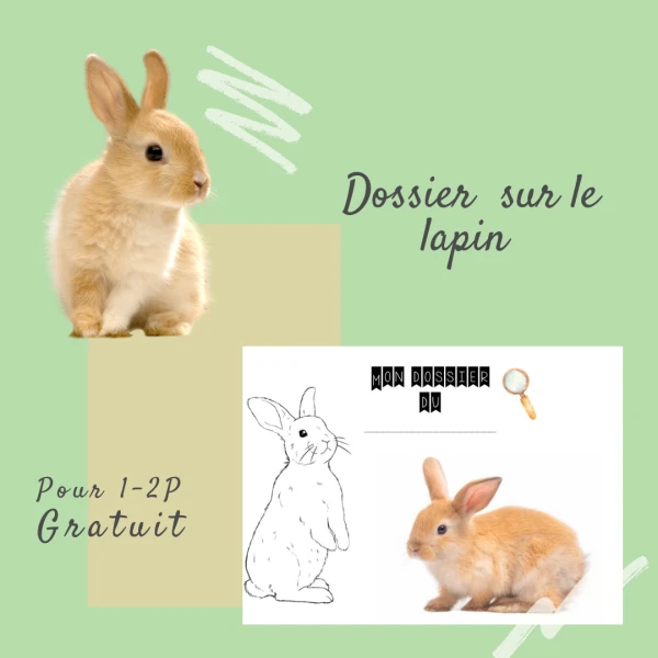 Le lapin