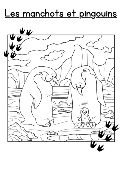 Dossier sur les manchots et les pingouins