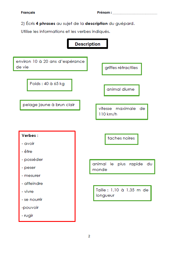 Article Encyclopédique Guépard_5