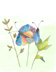 poissonbleu